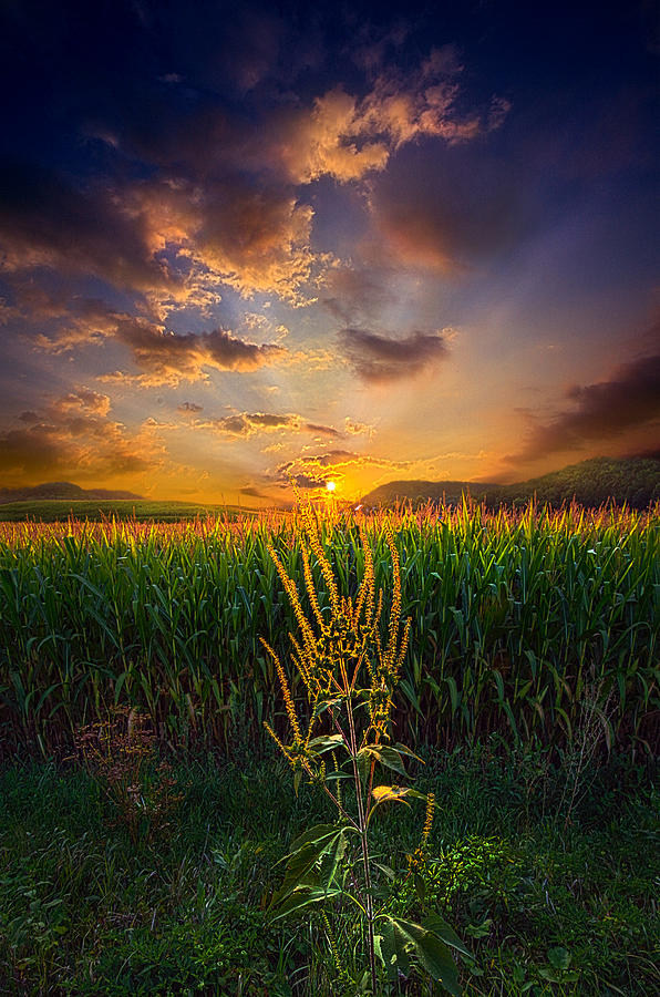 Our Time Together Photograph by Phil Koch