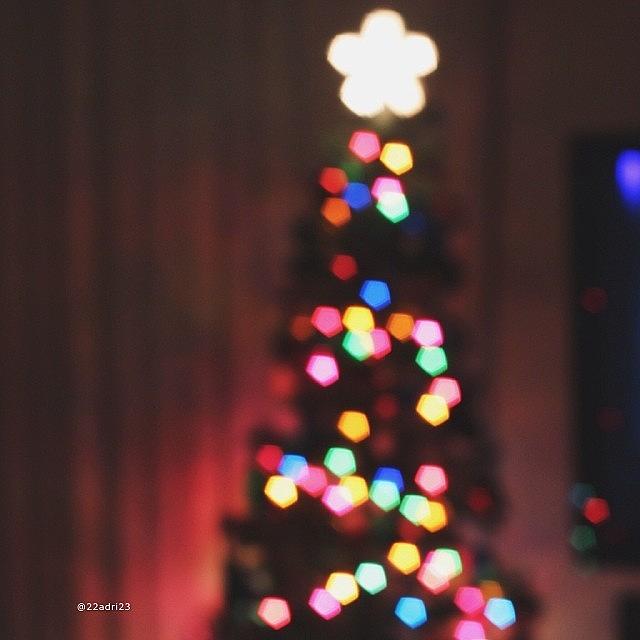 Igers Photograph - Our Tree When Up December 1 by Adri Ramirez