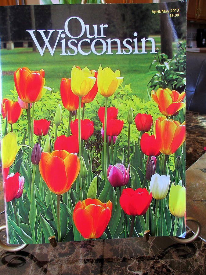Our Wisconsin Magazine Photograph by Kay Novy