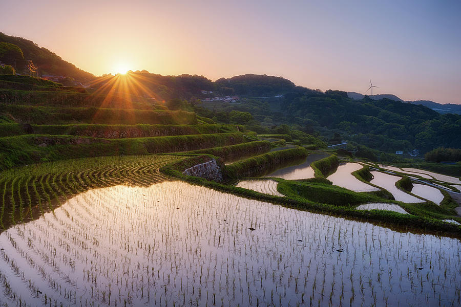 Oura Rice Terraces During Sunrise Photograph by Agustin Rafael C. Reyes