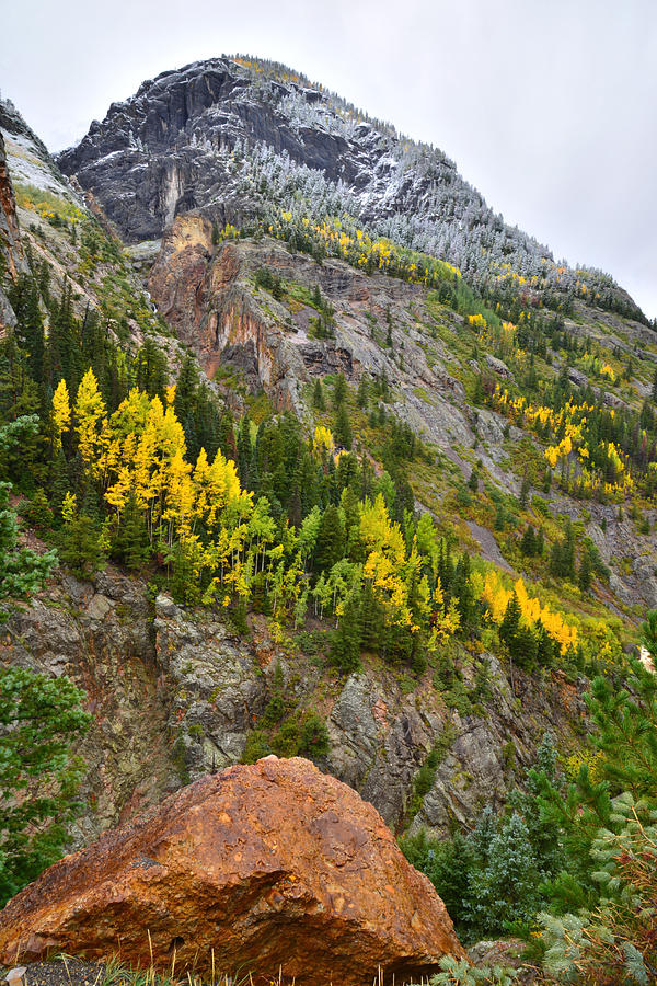 Ouray Canyon Fall Color Photograph by Ray Mathis