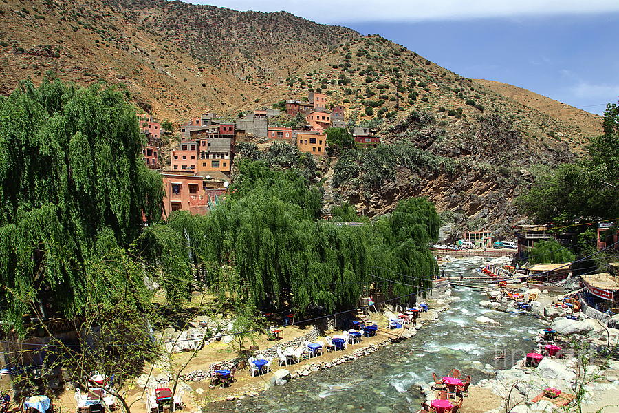 Nature Photograph - Ourika River Morocco by Sophie Vigneault