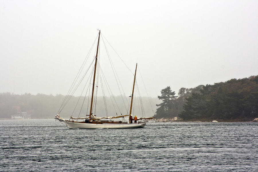 Out For A Sail Photograph