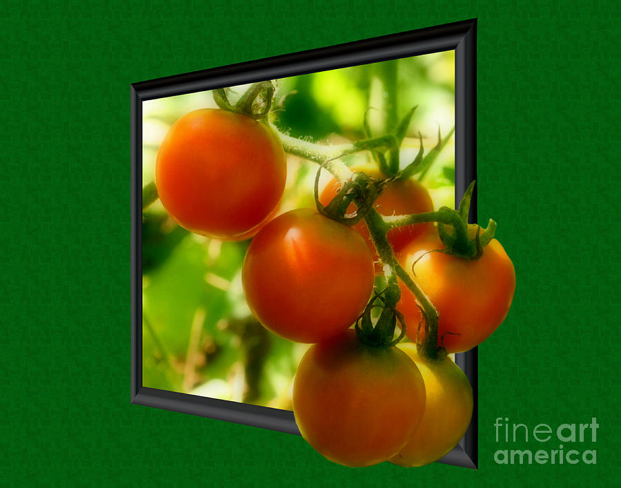 Cherry Tomatoes Out Of Frame Photograph by Smilin Eyes Treasures