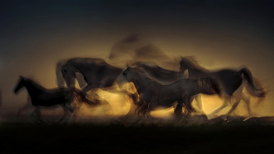 Horse Photograph - Out Of Hell by Milan Malovrh