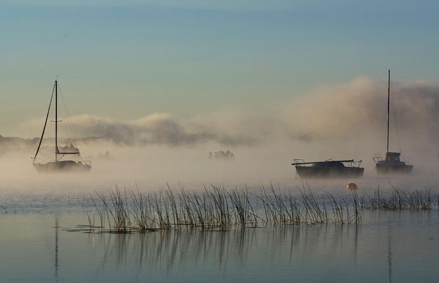 Landscape Photograph - Out of the fog by Diana Nault Landscape Photograph - Out of the fog by Diana Nault
