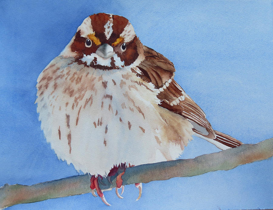 Out on a Limb Painting by Judy Mercer