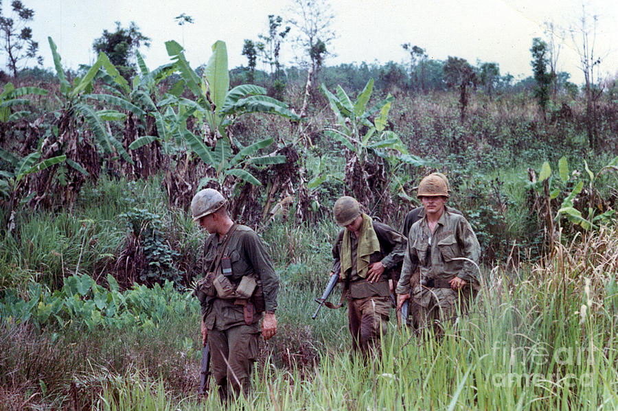 Central Highlands Photograph - Out on patrol 4th Infantry Division Central Highlands of Vietnam 1968 by Monterey County Historical Society