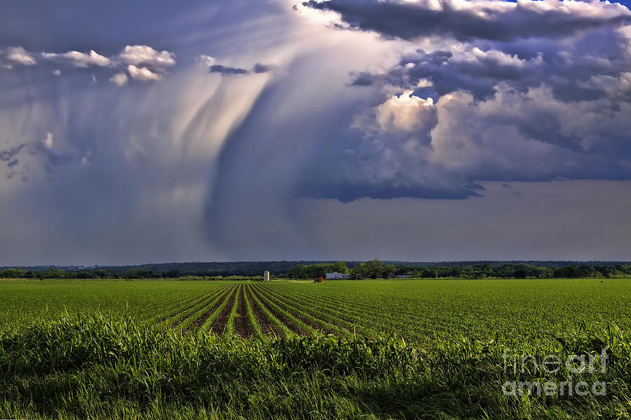 Out Past the Cornfields Where the Rains Got Heavy Photograph by Gary Holmes