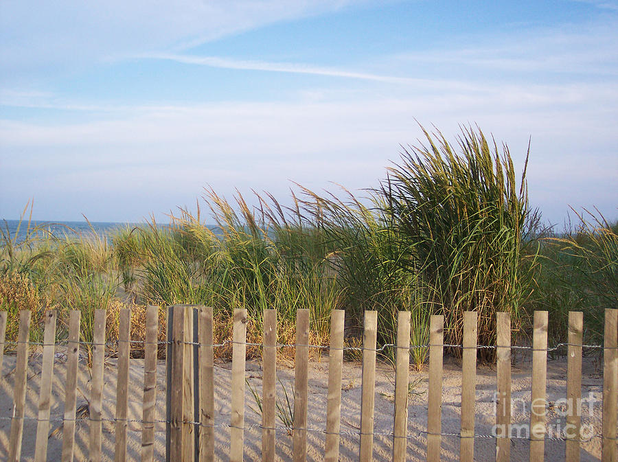 Beach Photograph - Out Past the Dunes by IE Rowe