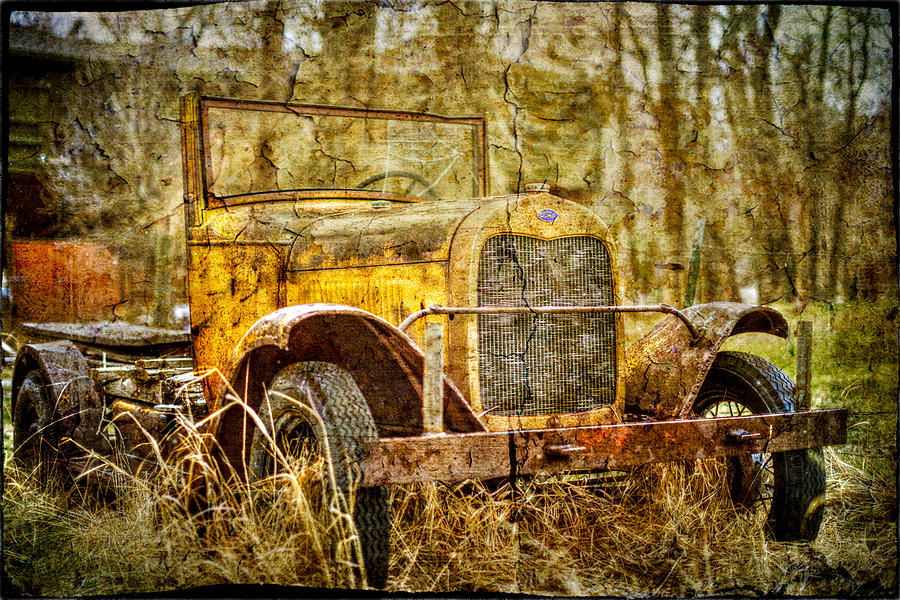 Out to Pasture Photograph by John Bielick - Fine Art America