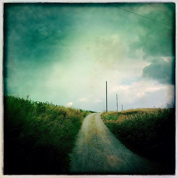 Hipstamatic Photograph - Out Walking #hipstamatic by Mary Ann Reilly