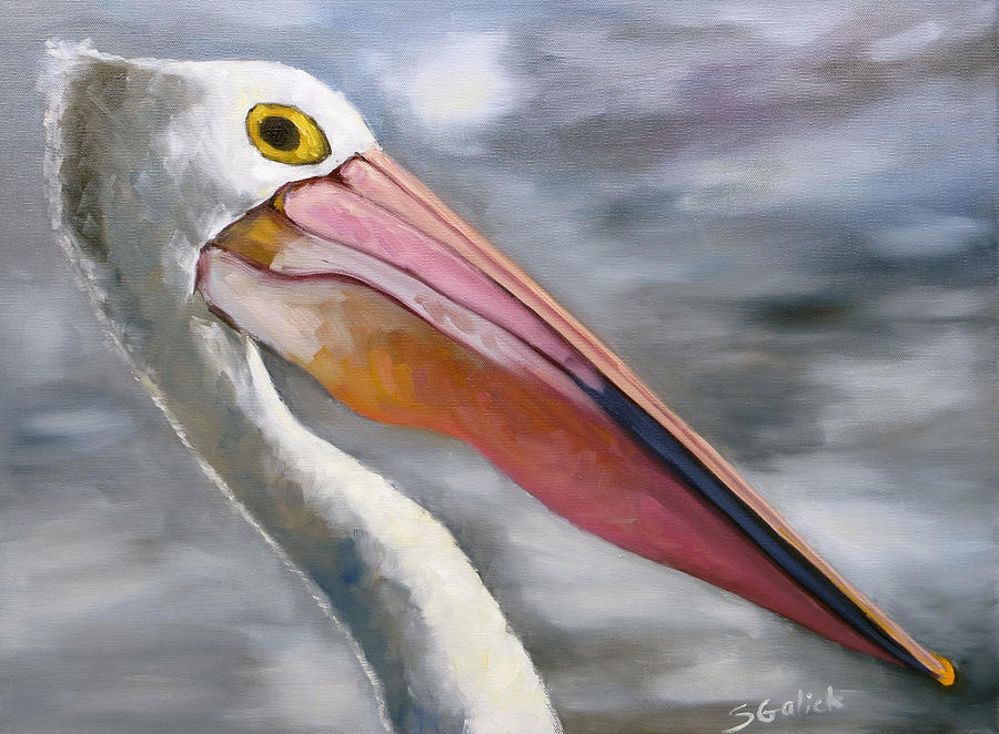 Outback Pelican Painting by Susan Galick - Fine Art America