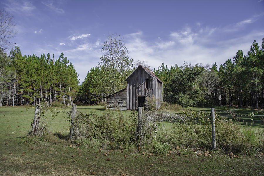 Outbuilding Photograph by Judy Hall-Folde