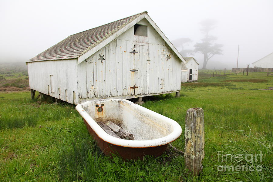 Outdoor Bath At The Old Pierce Point Ranch In Foggy Point Reyes California 5D28136 Photograph by Wingsdomain Art and Photography