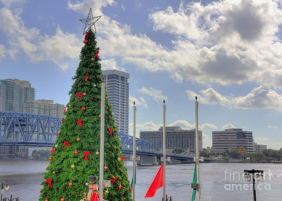 Outdoor Chtristmas Tree cityscape Photograph by Ules Barnwell