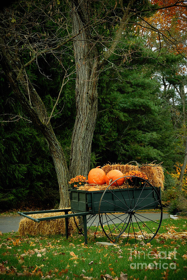 Fall Photograph - Outdoor Fall Halloween Decorations by Amy Cicconi