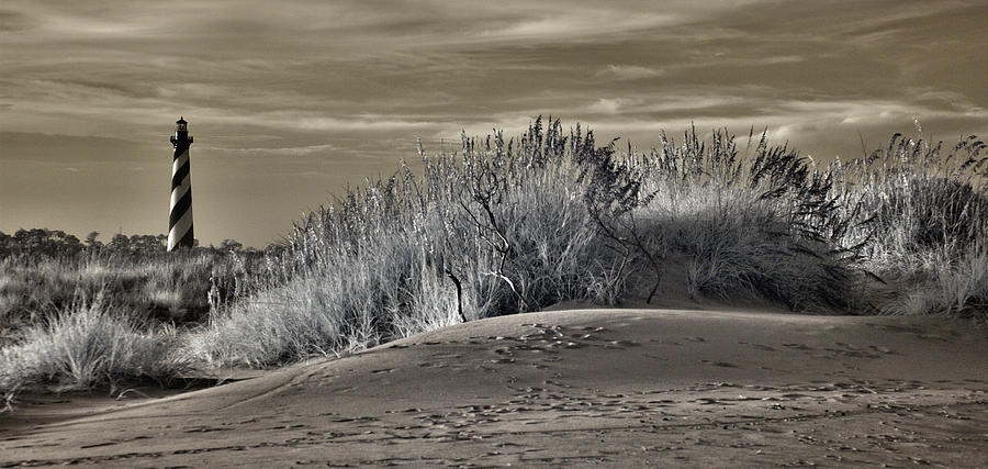 Outer Banks - Hatteras Lighthouse and Sand Dunes in BW Photograph by Dan Carmichael