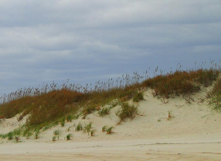 Outer Banks Sand Dunes Photograph by Pat Neely Stewart - Fine Art America