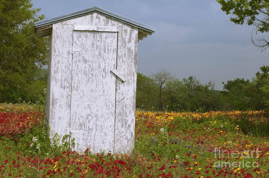 Outhouse in Cheapside Texas Photograph by Maida Candler - Fine Art America