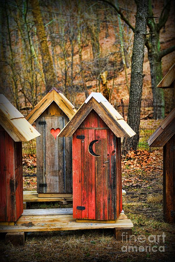 Tree Photograph - Outhouse Its Your Pick by Paul Ward