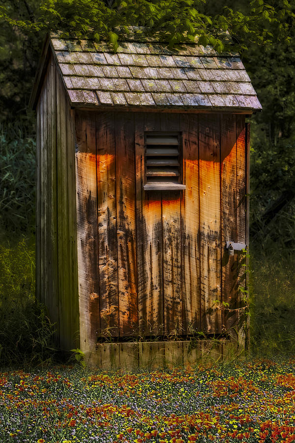 Outhouse Shack Photograph by Susan Candelario
