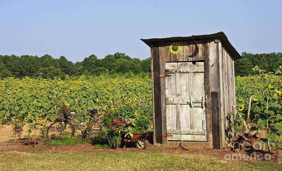 Outhouse Sunflower Farm Photograph by Jennifer Ludlum