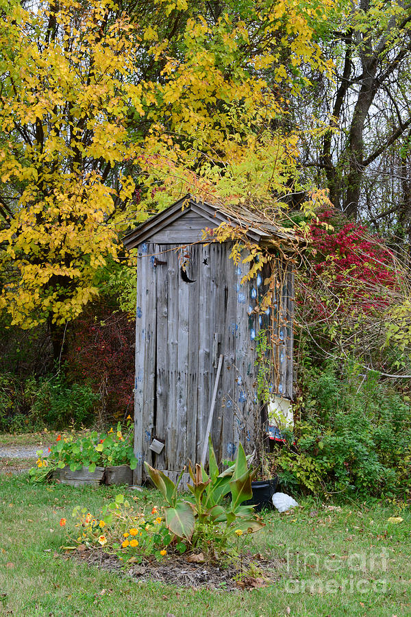 Outhouse Surrounded by Autumn Leaves Photograph by Paul Ward