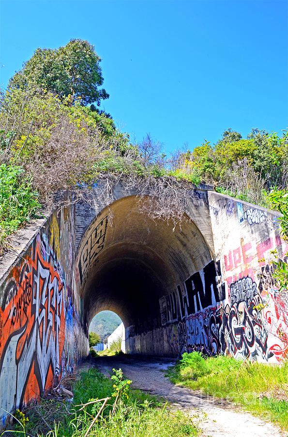 Outside the Abandoned Train Tunnel South of the Old Train Roundhouse at Bayshore near SF II Photograph by Jim Fitzpatrick