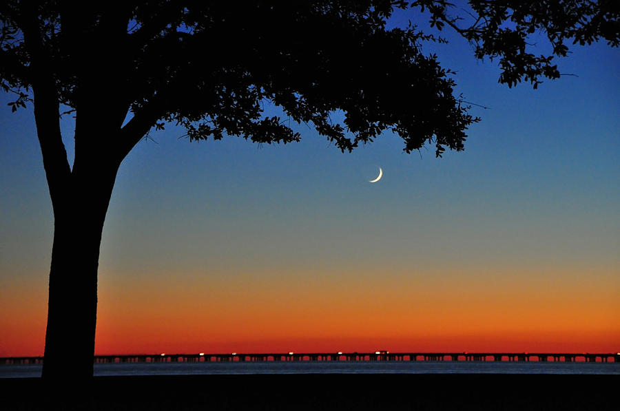 Over Lake Pontchartrain Photograph by Charlotte Schafer