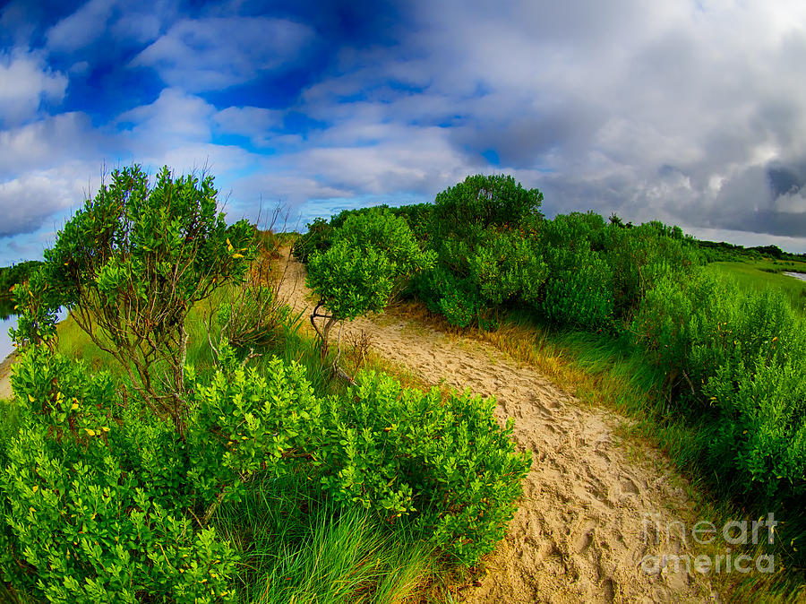 Over the Beaten Path Photograph by Mark Miller