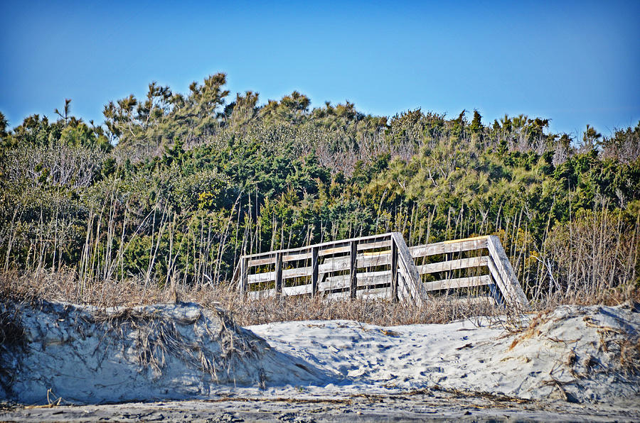 Over the Dune Photograph by Linda Brown