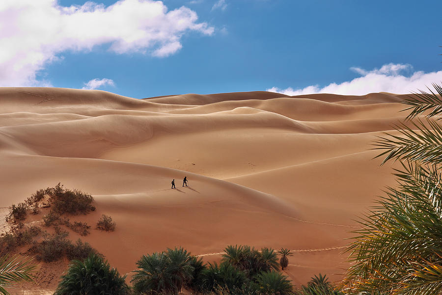 Over the dunes Photograph by Ivan Slosar