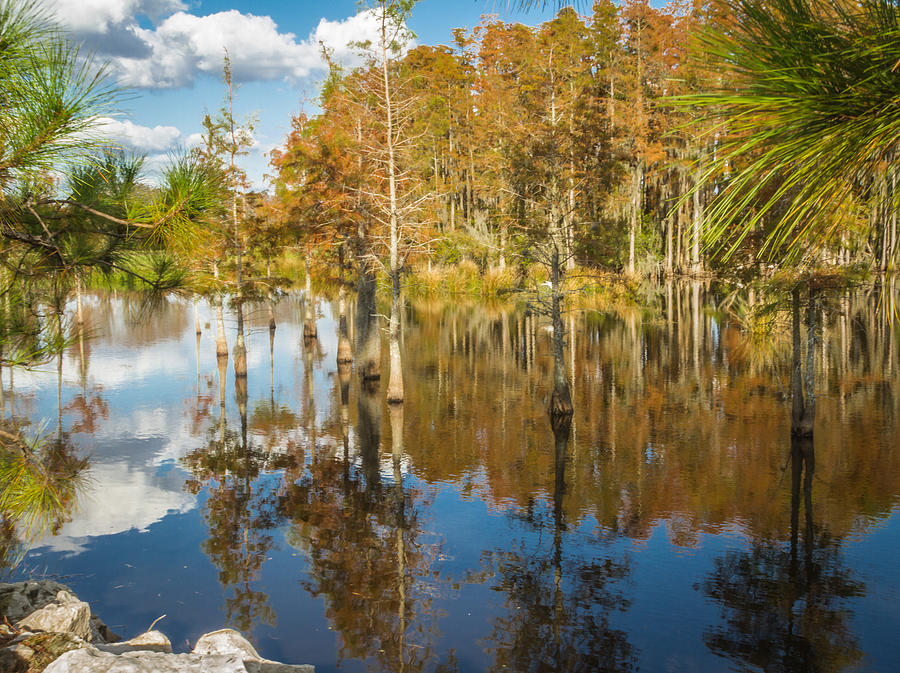 Over the pond Photograph by Jane Luxton - Fine Art America