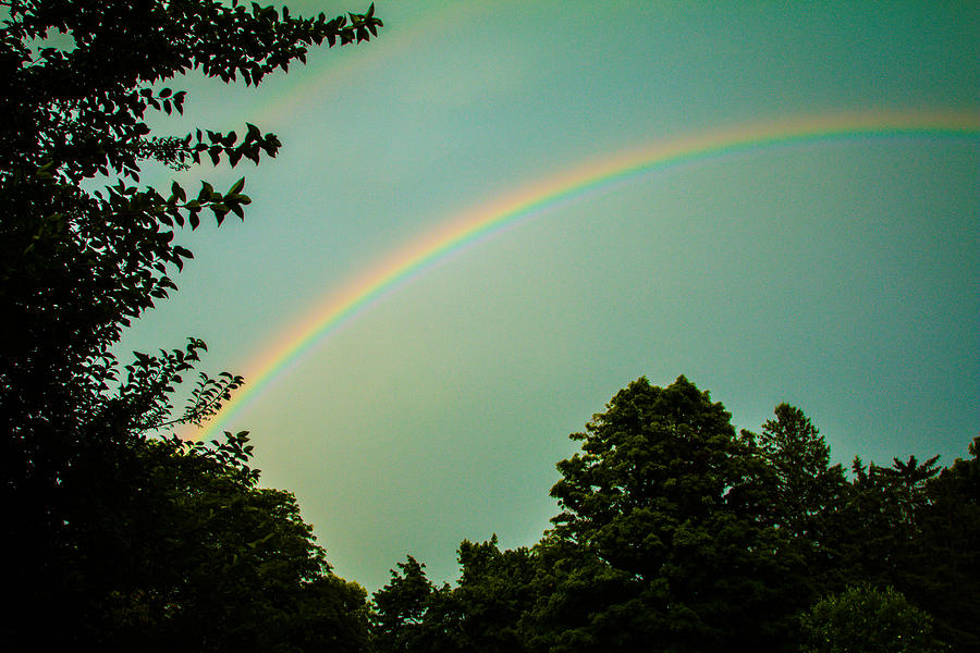 Over the Rainbow Photograph by Sara Frank
