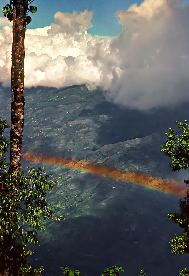 Jungle Photograph - Over the Rainbow by Steve Harrington