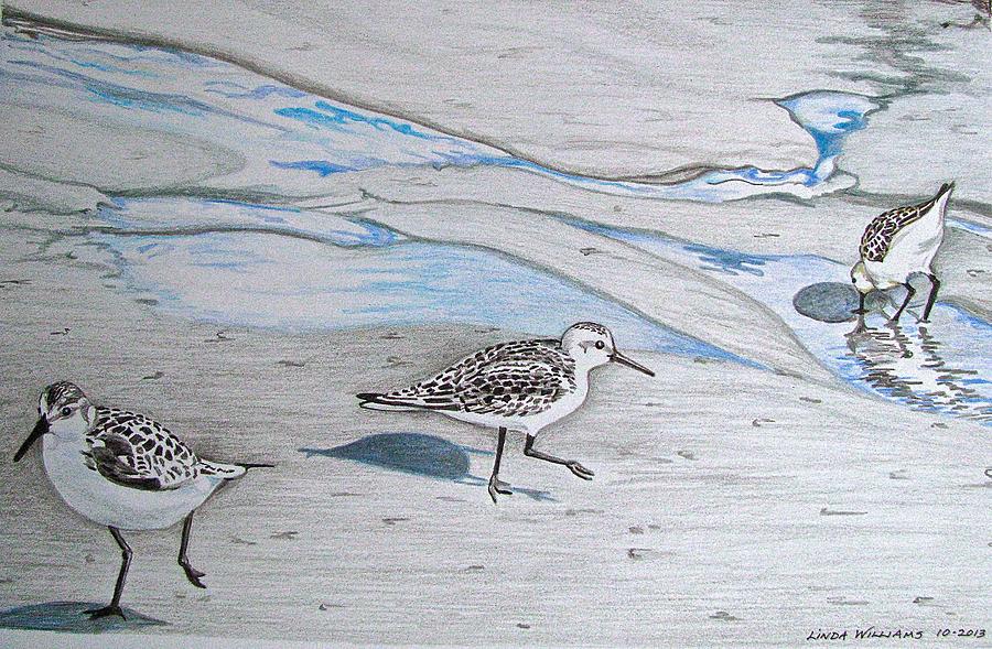Overcast Day with Sanderlings Drawing by Linda Williams