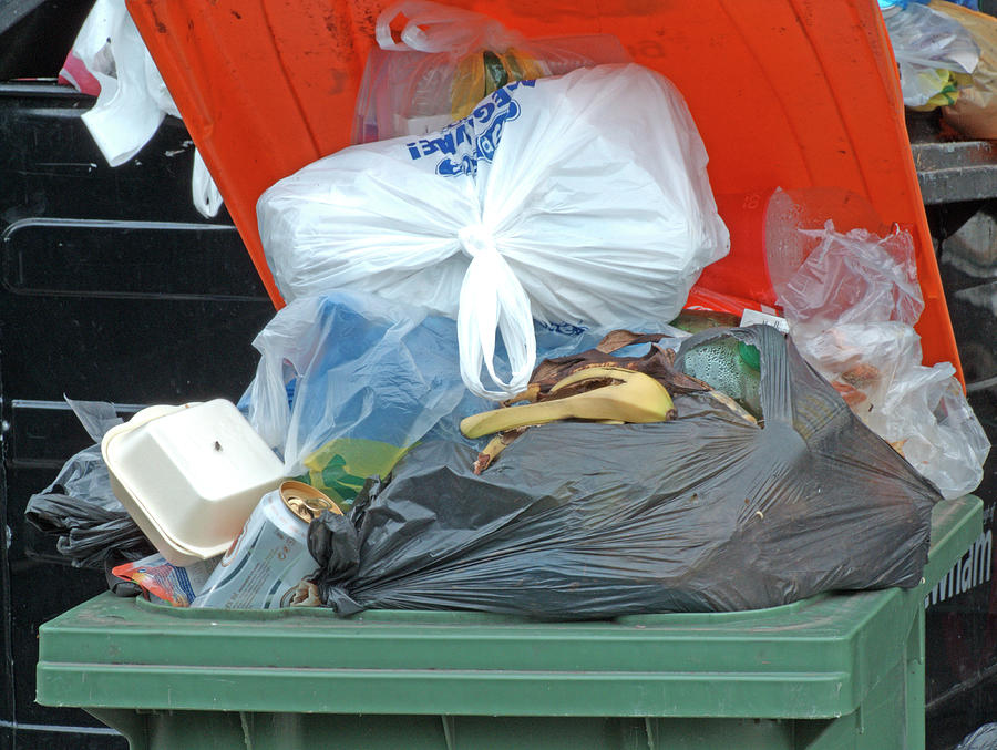 Food Photograph - Overflowing Rubbish Bin by Alex Bartel Food Photograph - Overflowing Rubbish Bin by Alex Bartel