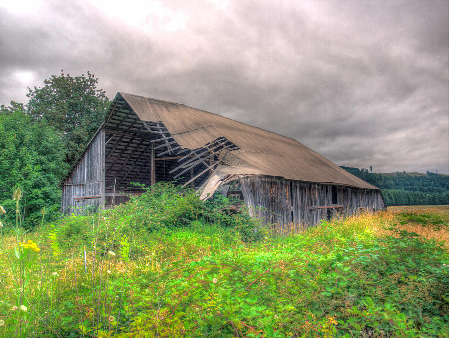 Overgrown Barn Photograph by HW Kateley