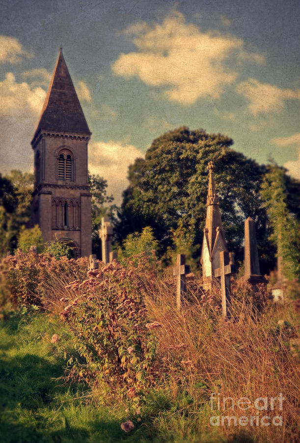 Overgrown Cemetery Photograph By Jill Battaglia Fine Art America