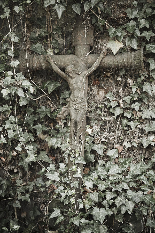Overgrown crucifix Photograph by Maria Heyens