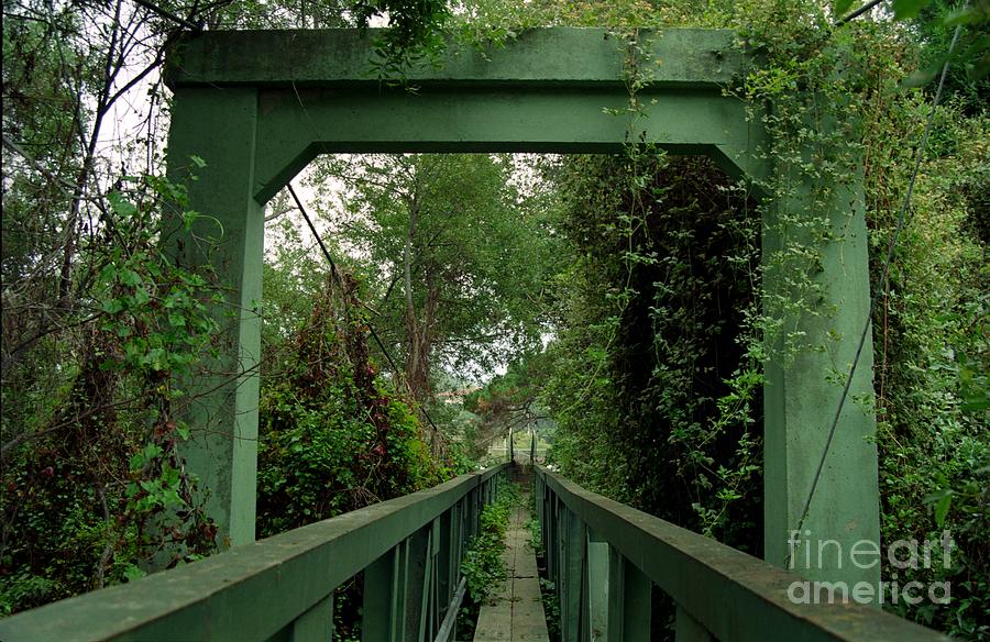 Overgrown Footbridge 1 Photograph by James B Toy