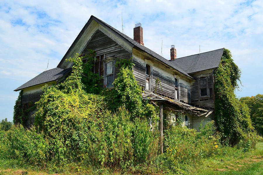 Overgrown House Photograph by Jeffrey Platt