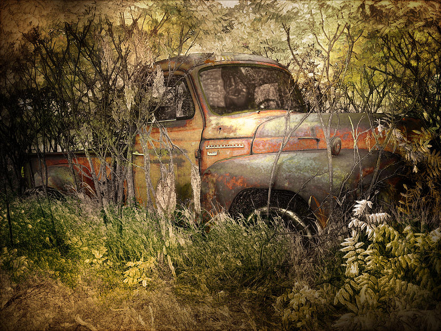 Overgrown Photograph by John Anderson