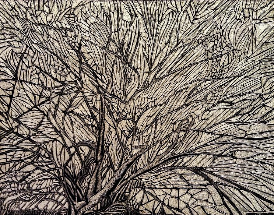 Overgrown Drawing by Megan Melonas Fine Art America