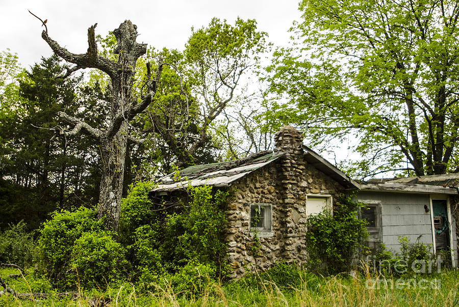Overgrown Stone Cottage Route 66 Hazelgreen Missouri Photograph by Deborah Smolinske