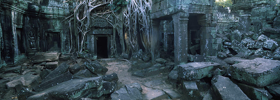 Architecture Photograph - Overgrown Tree Roots On Ruins by Panoramic Images