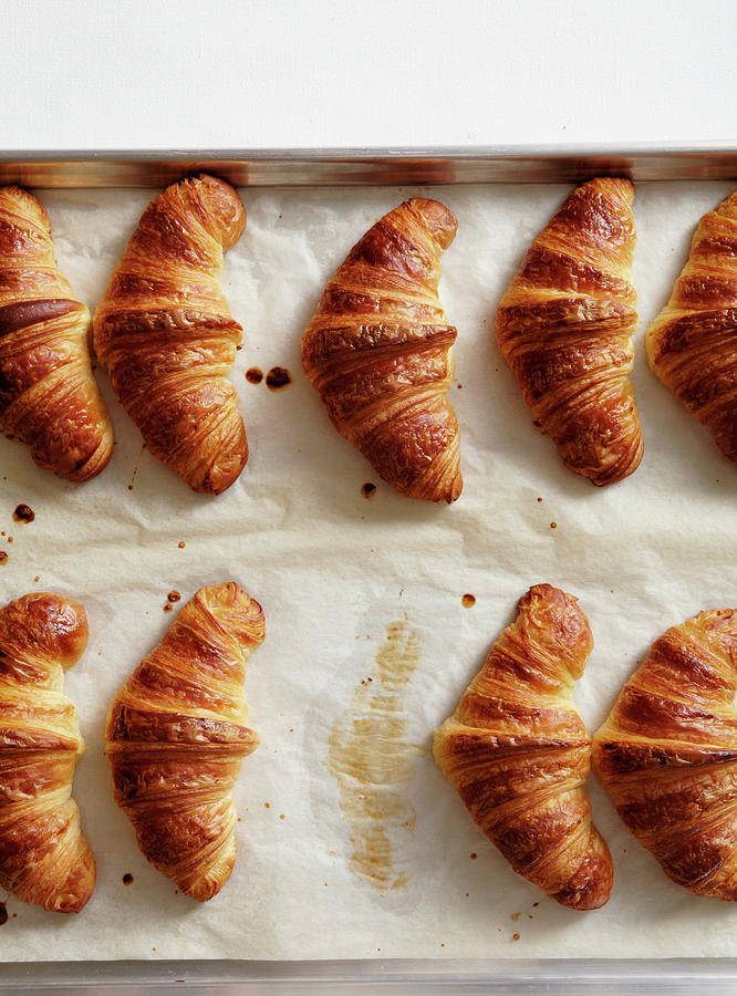 Overhead Of Croissants On Baking Pan Photograph by Maren Caruso