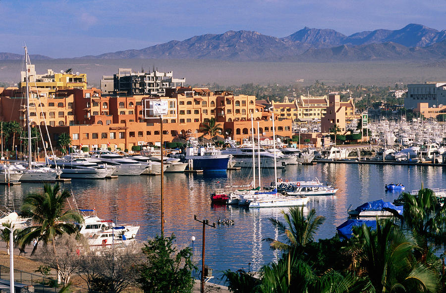 Overhead Of Town And Marina Photograph by John Elk - Fine Art America