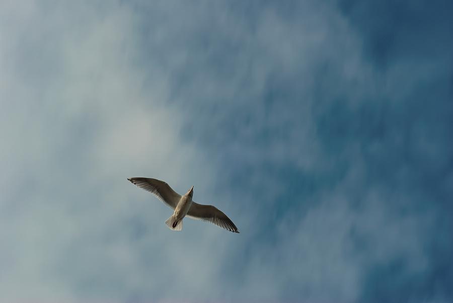 overhead-pass-photograph-by-john-rossman